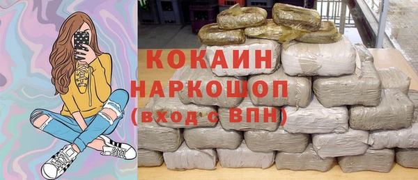 шишки Аркадак