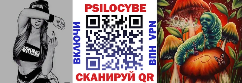 Галлюциногенные грибы Cubensis  Купить закладки  Белая Холуница 